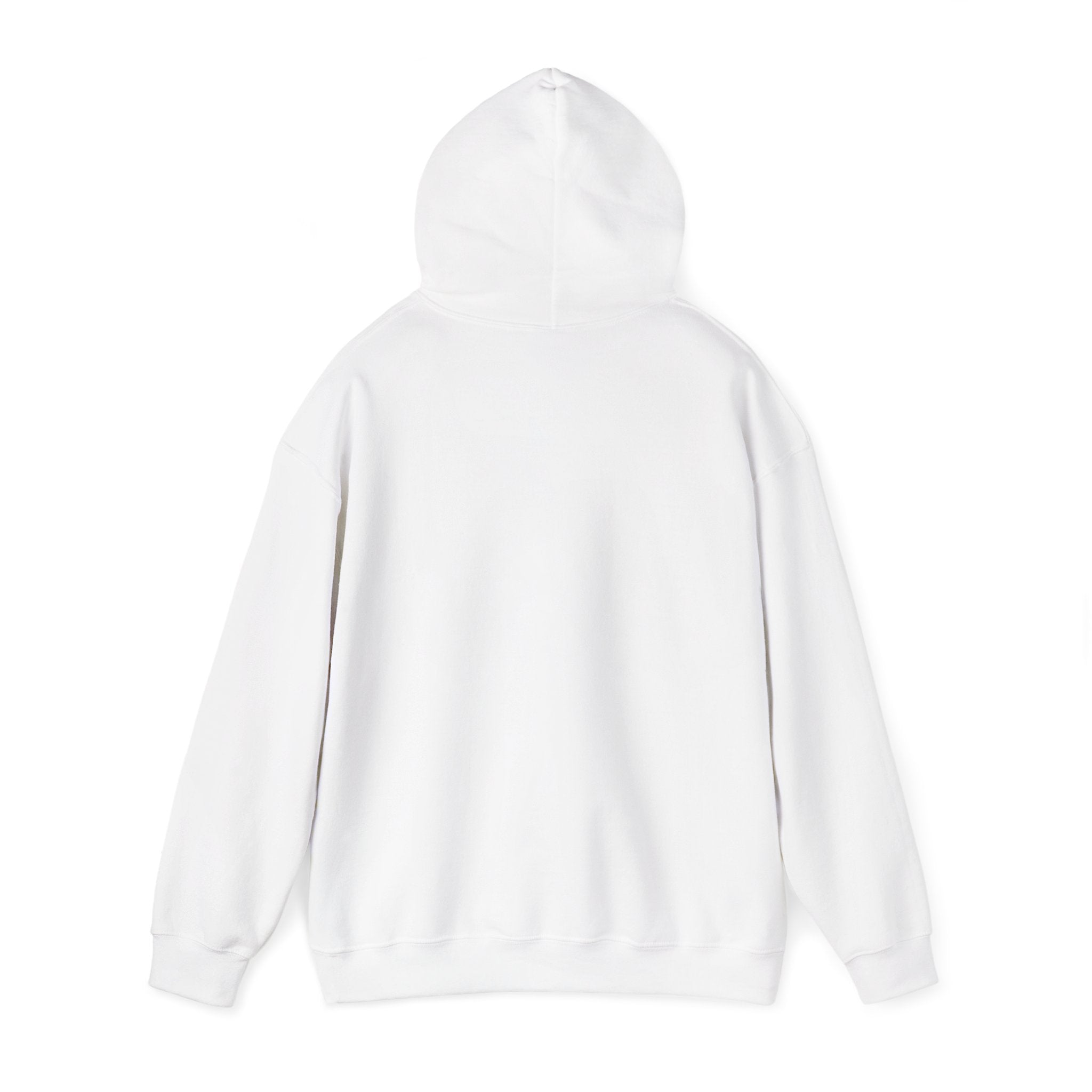 LAUNCH CLUB HOODIE