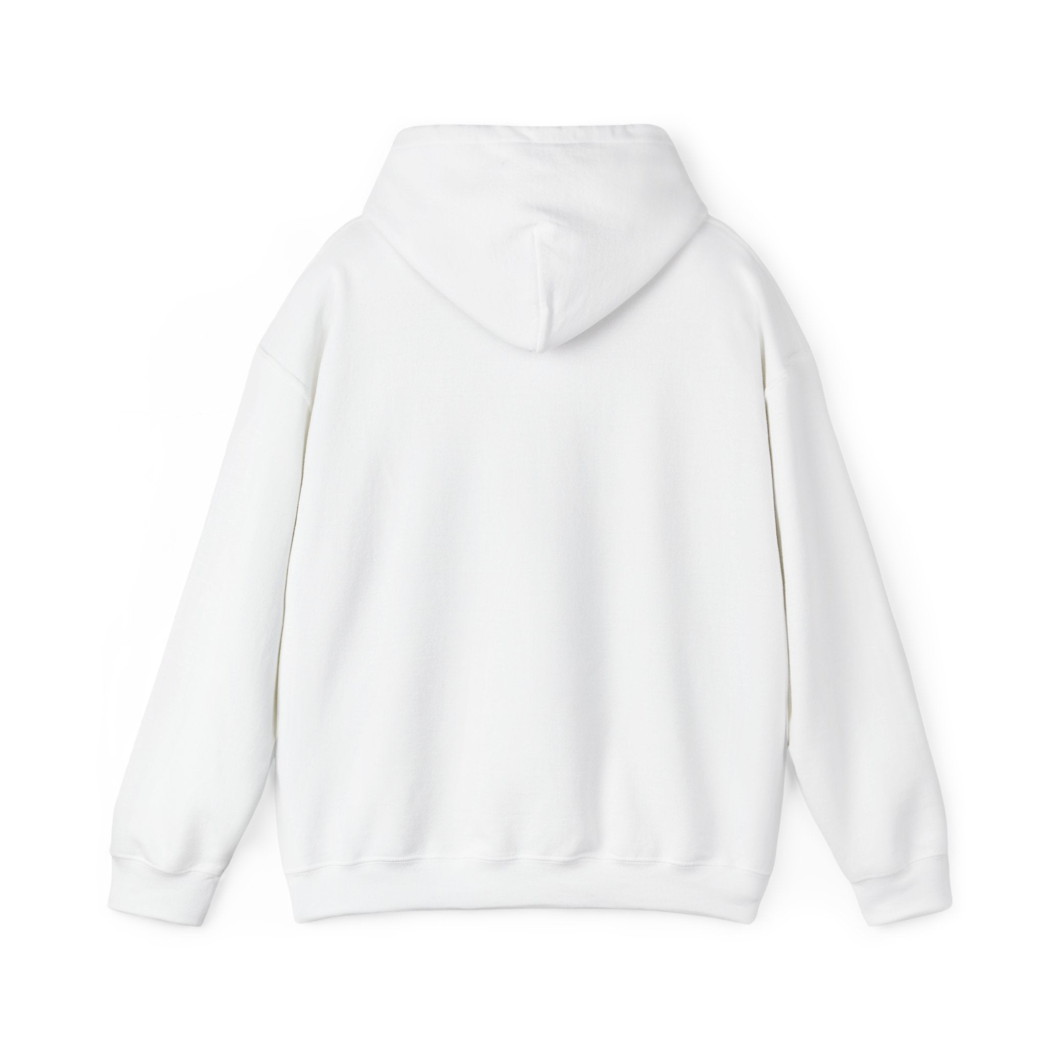 LAUNCH CLUB HOODIE